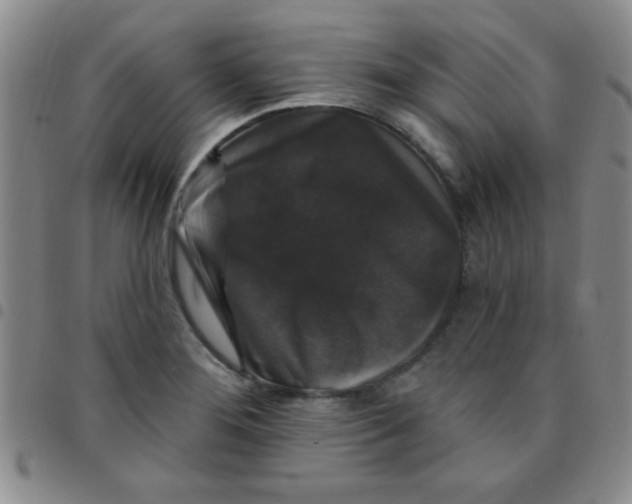 X0000097491276200803141949