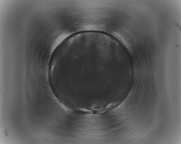 X0000097491277200803141949