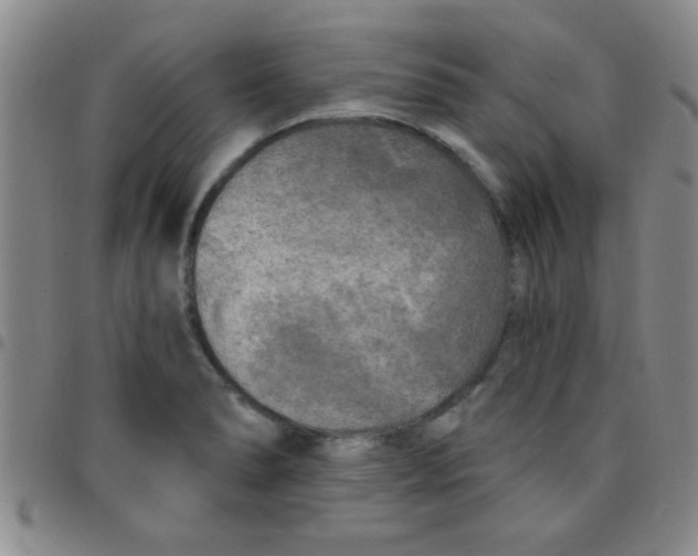 X0000097491278200803141949