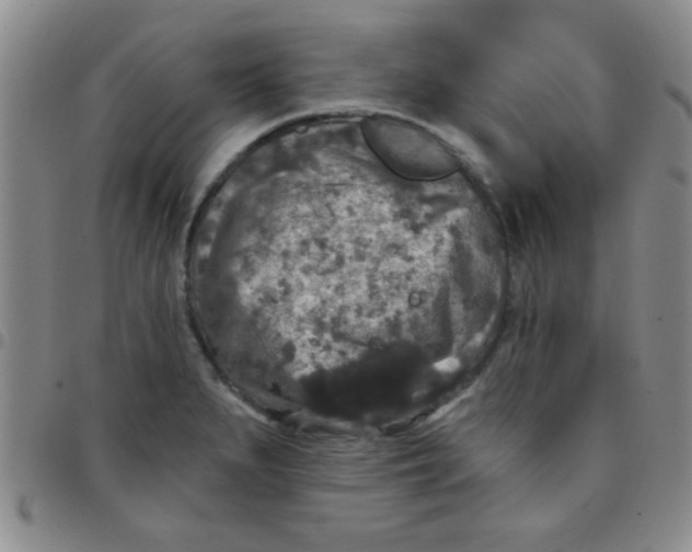 X0000097491279200803141949