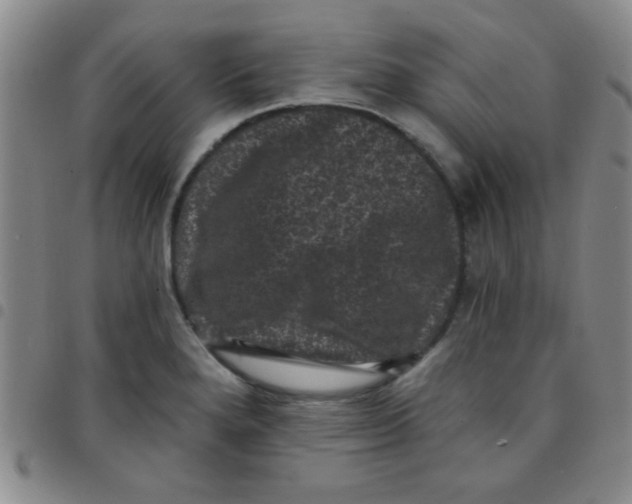 X0000097491280200803141949