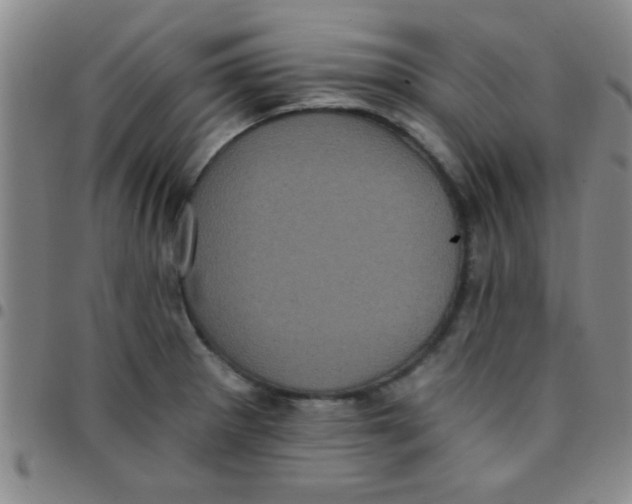 X0000097491281200803141949