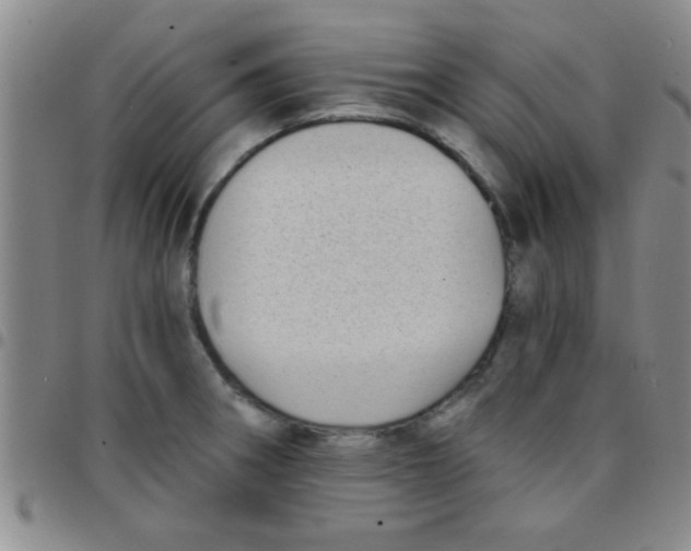 X0000097491282200803141949