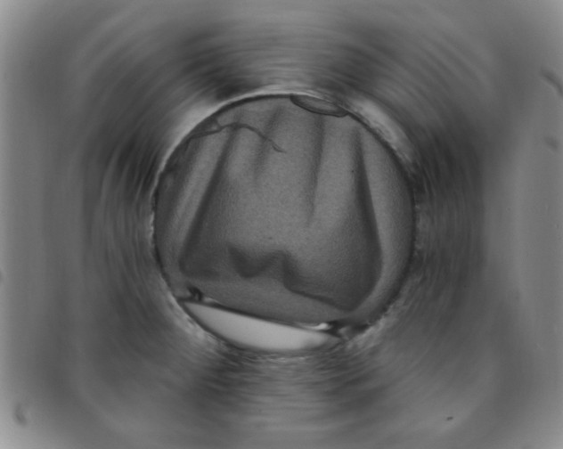 X0000097491284200803141949