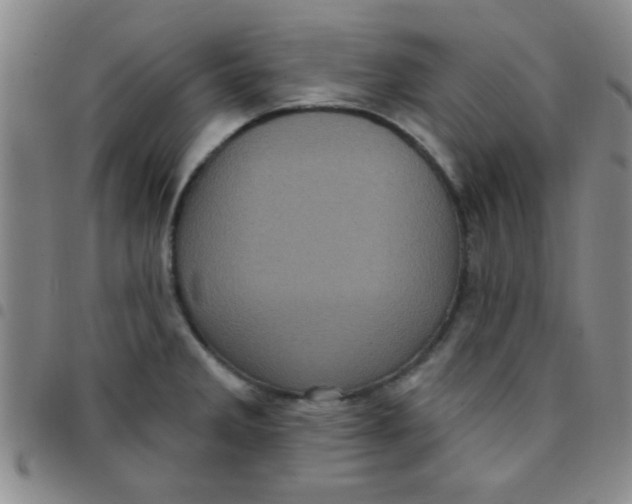 X0000097491285200803141949