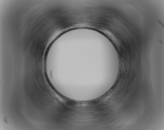 X0000097491286200803141949