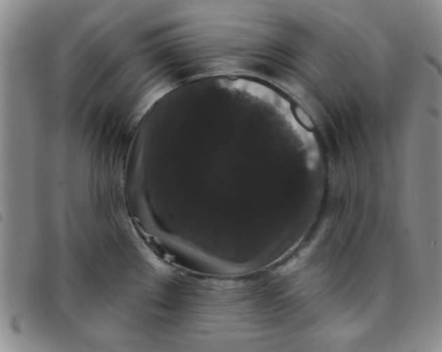 X0000097491289200803141949