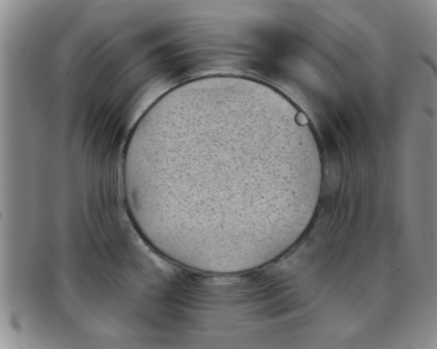 X0000097491290200803141949