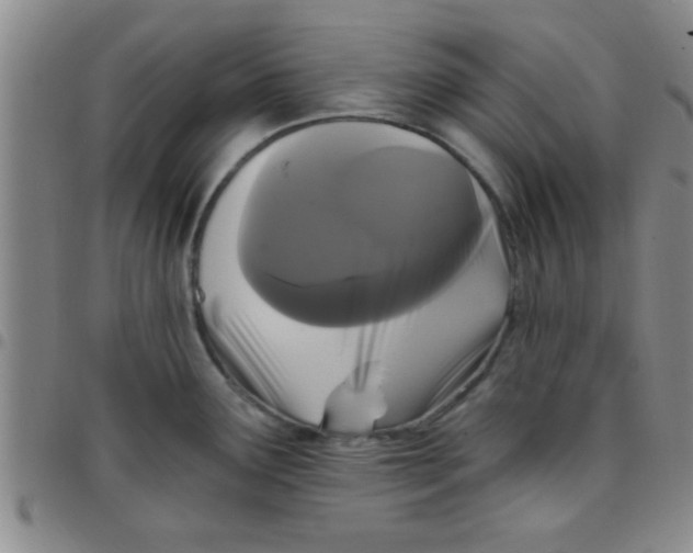 X0000097491291200803141949