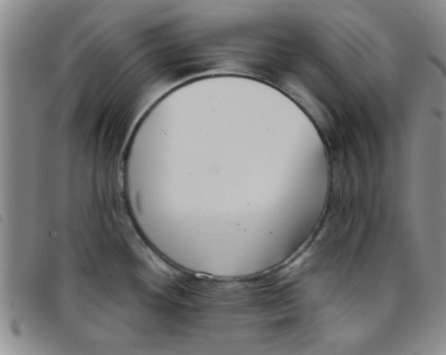 X0000097491292200803141948