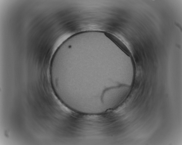 X0000097491293200803141948