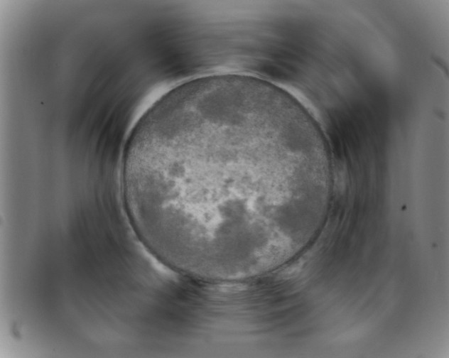 X0000097491294200803141948