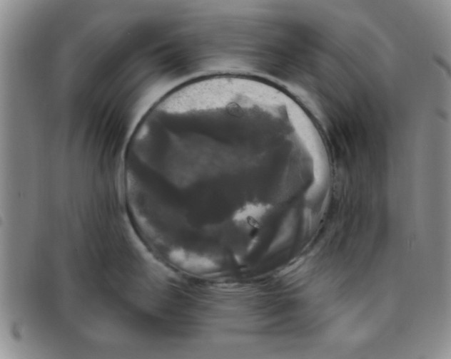 X0000097491295200803141948