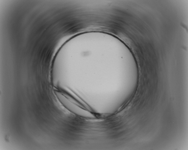 X0000097491296200803141948