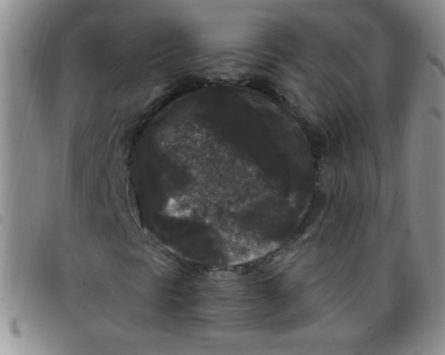 X0000097491297200803141948