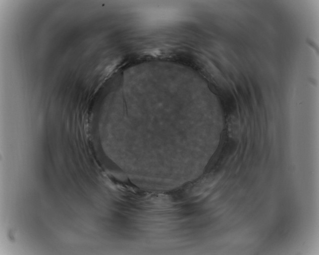 X0000097491298200803141948