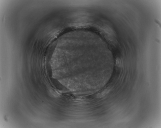 X0000097491300200803141948