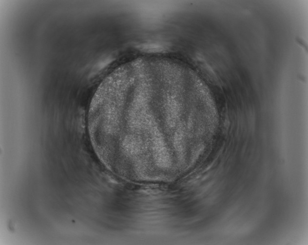 X0000097491301200803141948