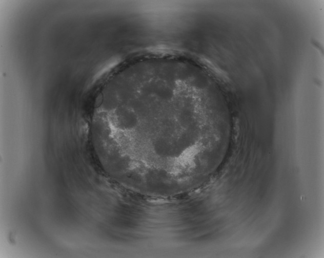 X0000097491302200803141948