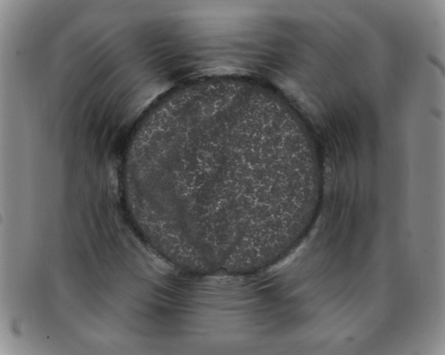 X0000097491305200803141948