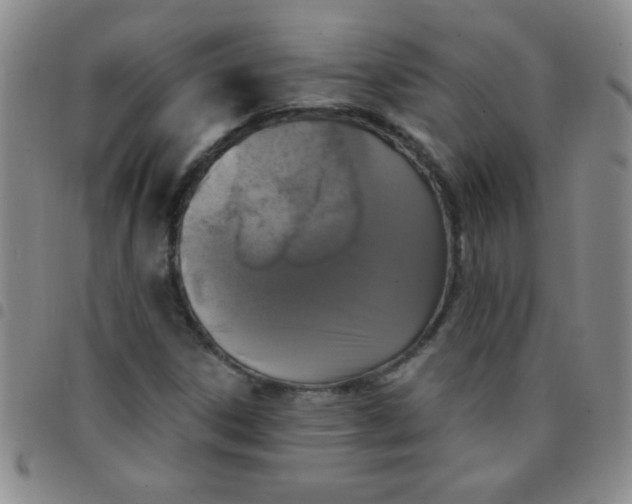 X0000097491306200803141948