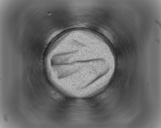 X0000097491308200803141948