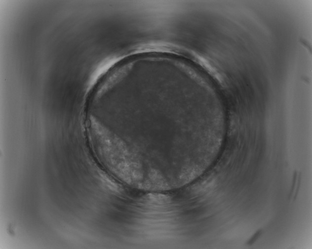 X0000097491312200803141948