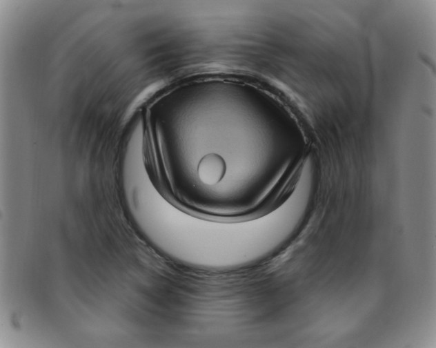 X0000097491314200803141948