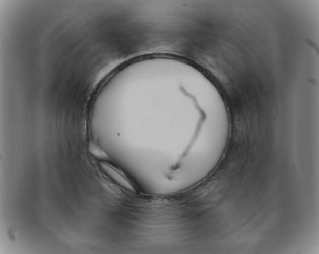 X0000097491316200803141948