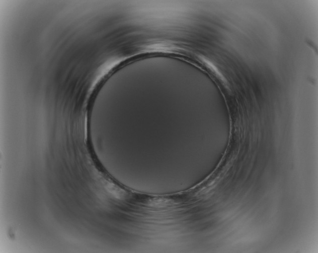 X0000097491323200803141948