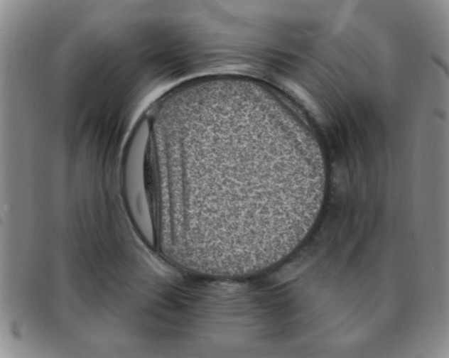 X0000097491324200803141948