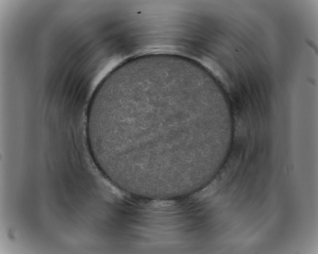 X0000097491325200803141948