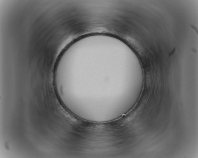 X0000097491326200803141948