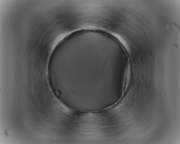 X0000097491327200803141948