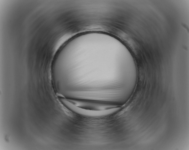 X0000097491328200803141948