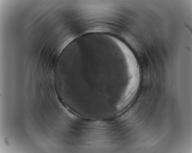 X0000097491329200803141948