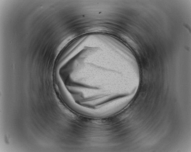 X0000097491330200803141948