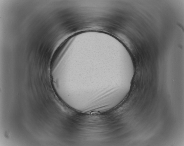 X0000097491332200803141948