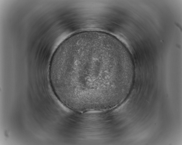 X0000097491333200803141948