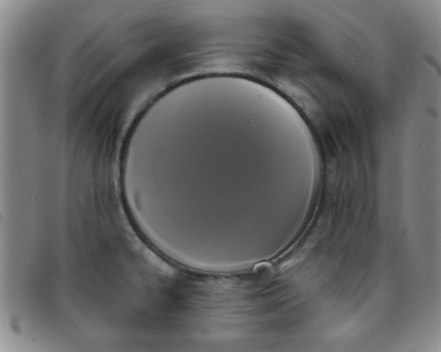 X0000097491334200803141948