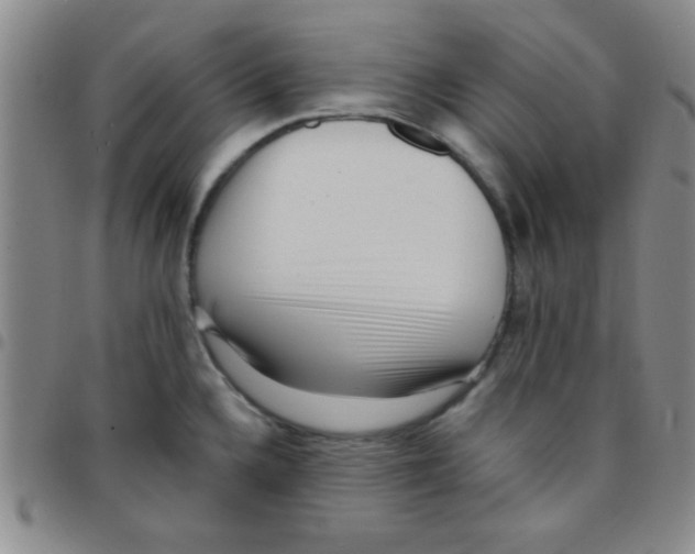 X0000097491336200803141948