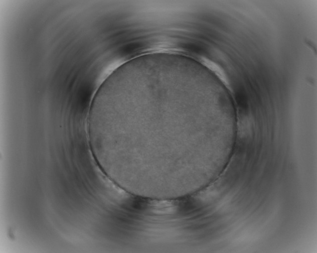 X0000097491338200803141948