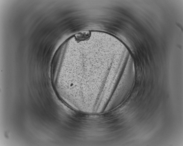 X0000097491339200803141948