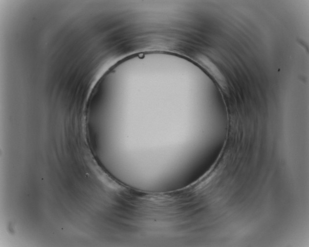 X0000097491340200803141948