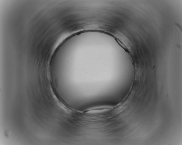 X0000097491342200803141948