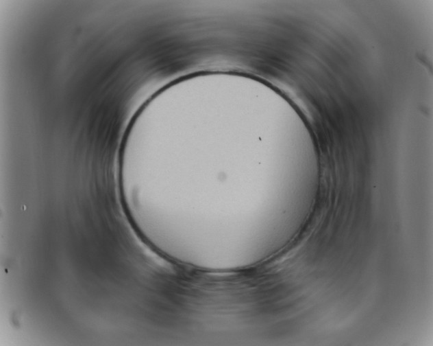 X0000097491343200803141948