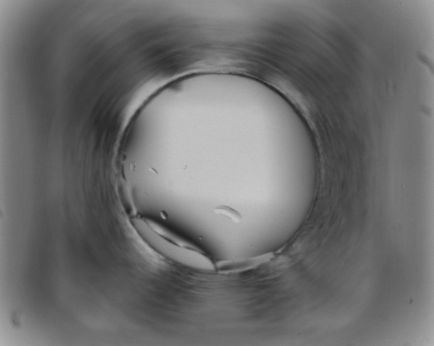 X0000097491344200803141948