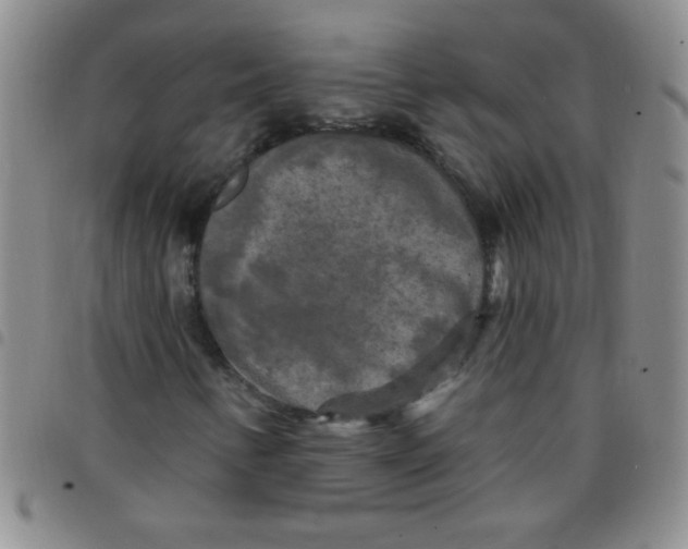 X0000097491346200803141948