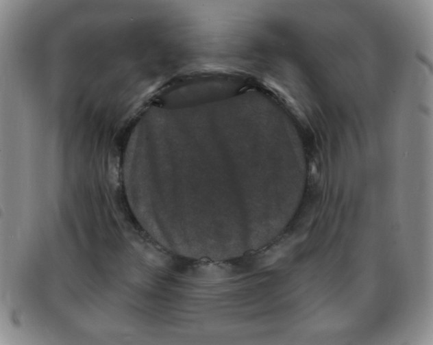 X0000097491348200803141948