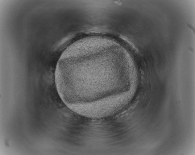 X0000097491350200803141948